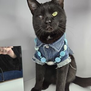 Turquoise and Silver Women's Necklace